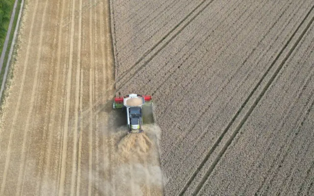 Vedere aeriană a unei combine agricole care recoltează un lan de cereale uscate