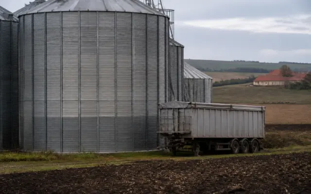 Grup Șerban Holding a pierdut 96 de milioane de lei în prima jumătate a lui 2026, după profit în 2025