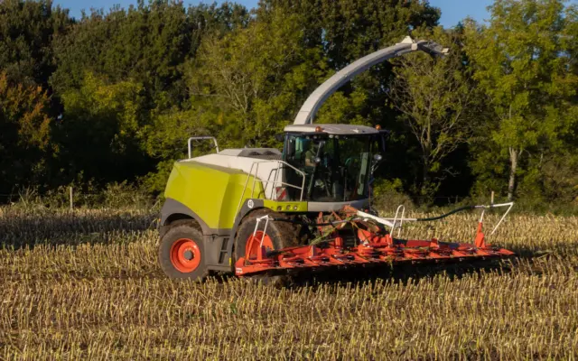 O combină agricolă modernă, de culoare verde deschis și alb, cu un cap de recoltare roșu, lucrează pe un câmp de porumb deja recoltat, lăsând în urmă miriște