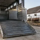 Rampă pregătită pentru transportul animalelor